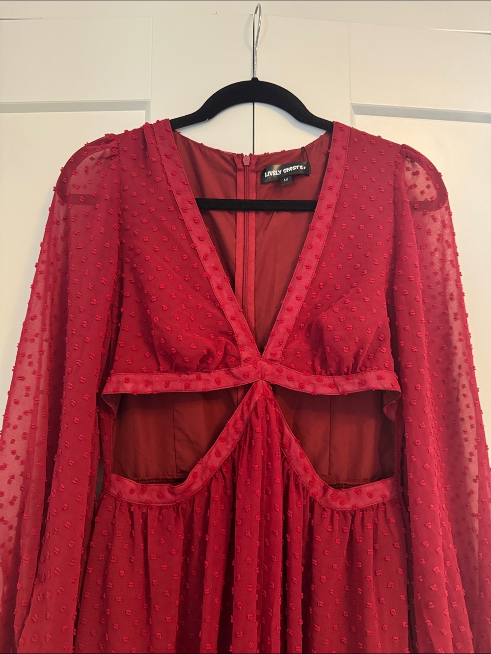 LIVELY GHOSTS - Sorcerouge Dress - Picture 7 of 9